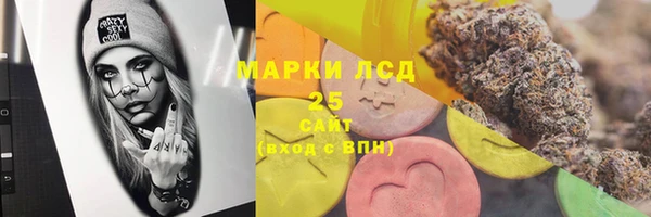 ПСИЛОЦИБИНОВЫЕ ГРИБЫ Вязьма