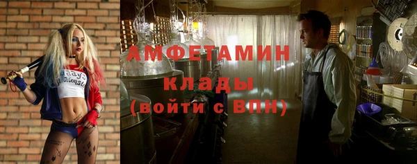 ПСИЛОЦИБИНОВЫЕ ГРИБЫ Вязьма