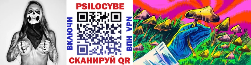 Купить закладки  Нижняя Тура  Псилоцибиновые грибы Psilocybe 